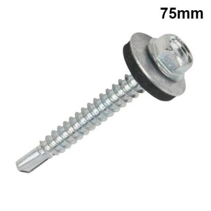 Screw 75MM