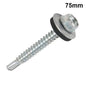 Screw 75MM